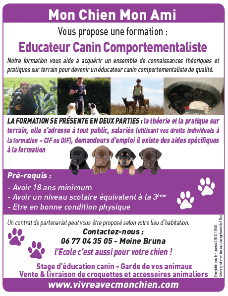 Mon Chien Mon Ami recrute Éducateur canin comportementaliste